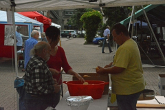 Strassenfest 2013